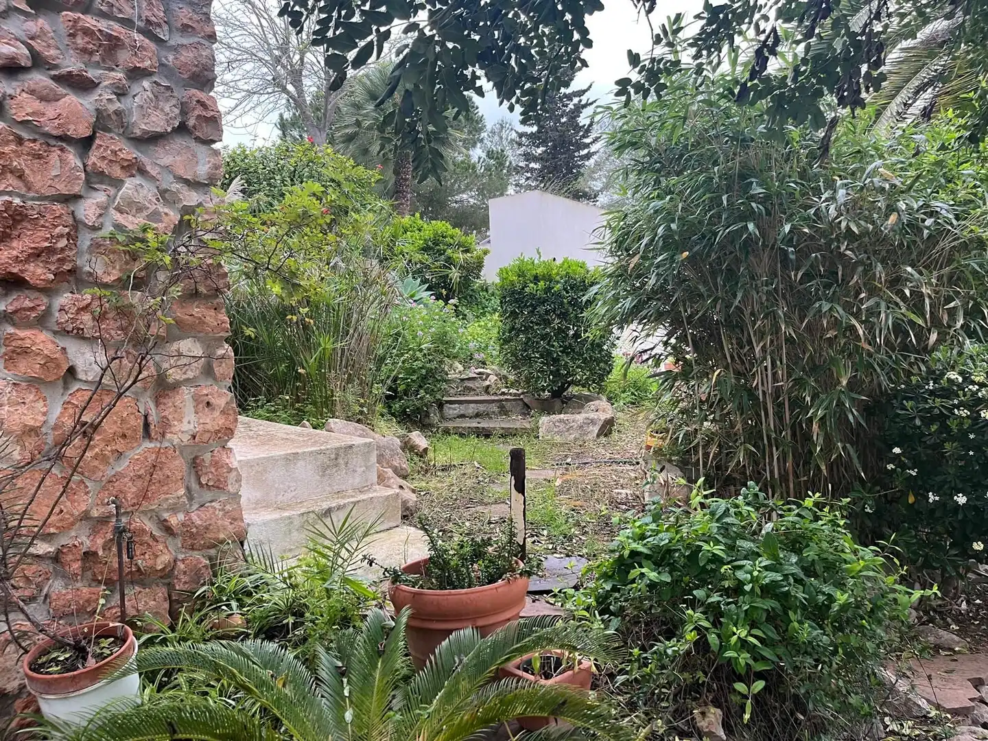 Chalet en venta en Cap Martí - El Tossalet - Pinomar, imagen 32