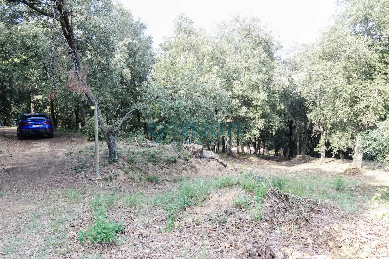 Terreno residenziale in vendita a Diseminado Afueras, imagen 9