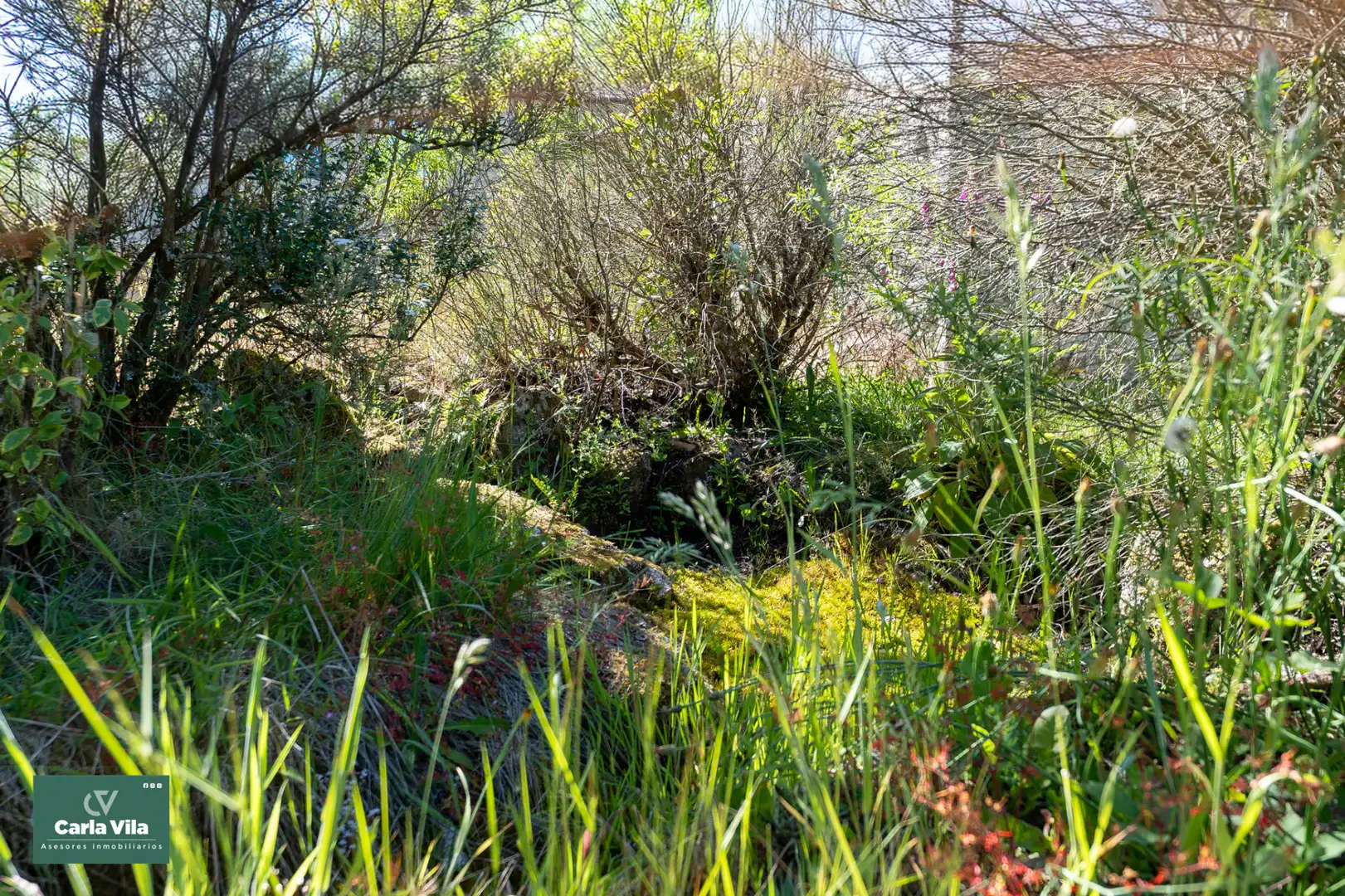 Garden of Country homes for sale in Guitiriz  with Heating, Private garden and Parquet flooring