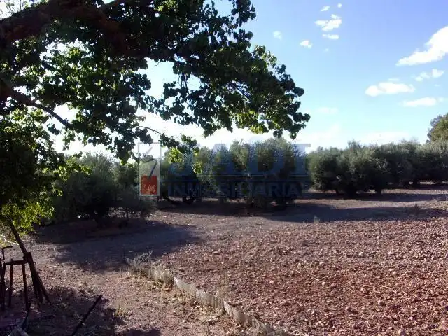 Casa rústica en venda a Valdepeñas, imagen 5