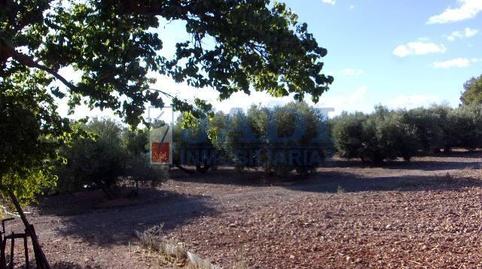 Foto 5 de Finca rústica en venda a Valdepeñas, Ciudad Real
