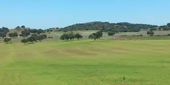 Rural land for sale in Marchena, imagen 5