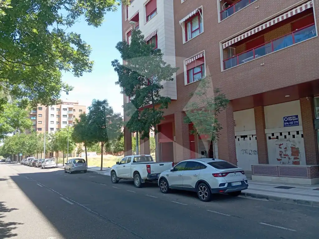 Gewerbefläche zur Miete in Calle Eugenio García Estop