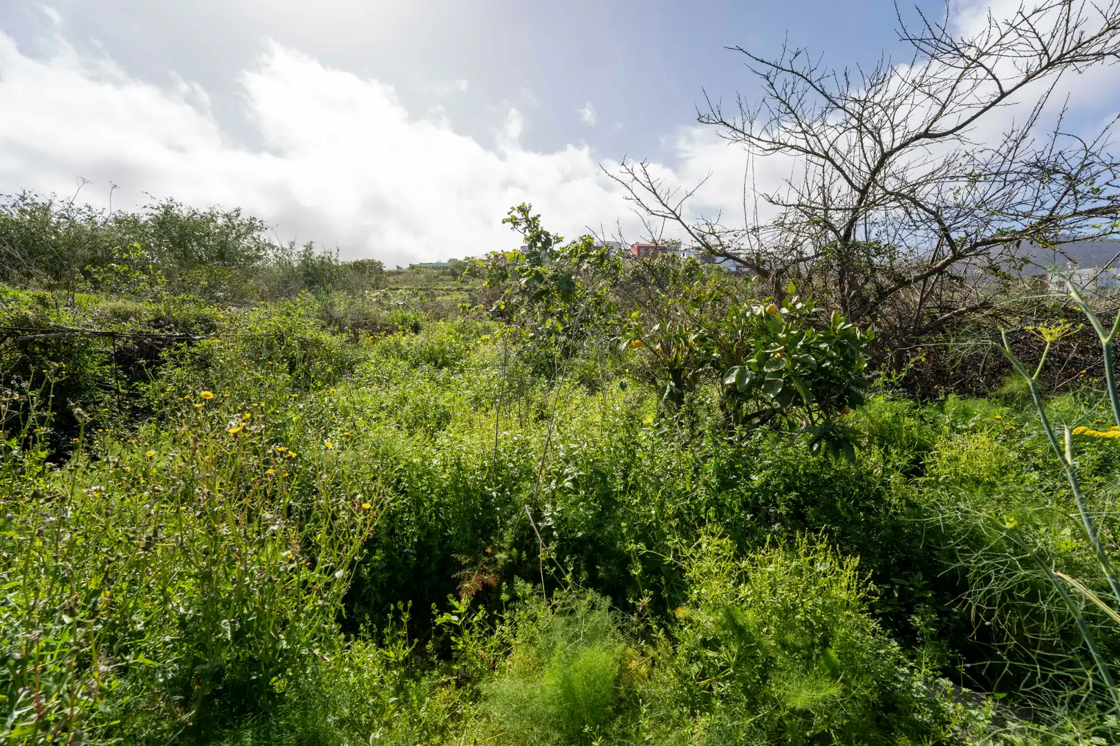Villa avec terrasse à vendre à Carretera la Vera Baja, imagen 81