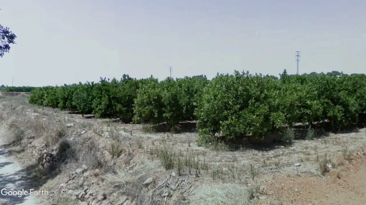 Rural land for sale in Urbanización Huerto la Rabasa 68