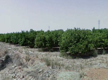 Terrain rustique à vendre à Urbanización Huerto la Rabasa 68