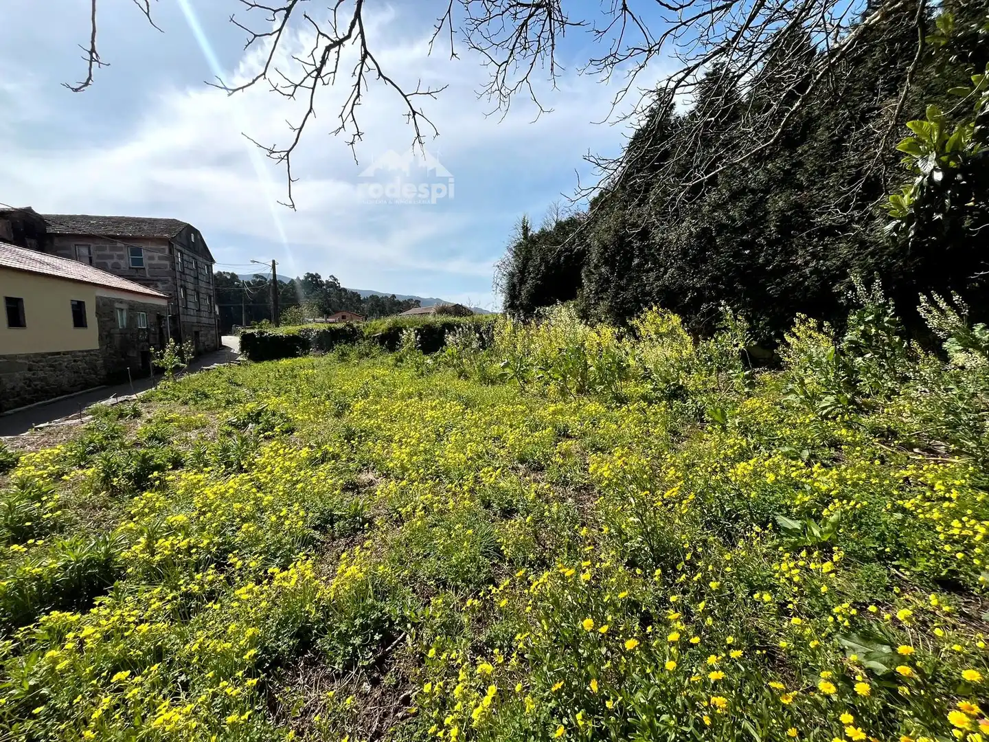 Rural land for sale in Arbo, imagen 7
