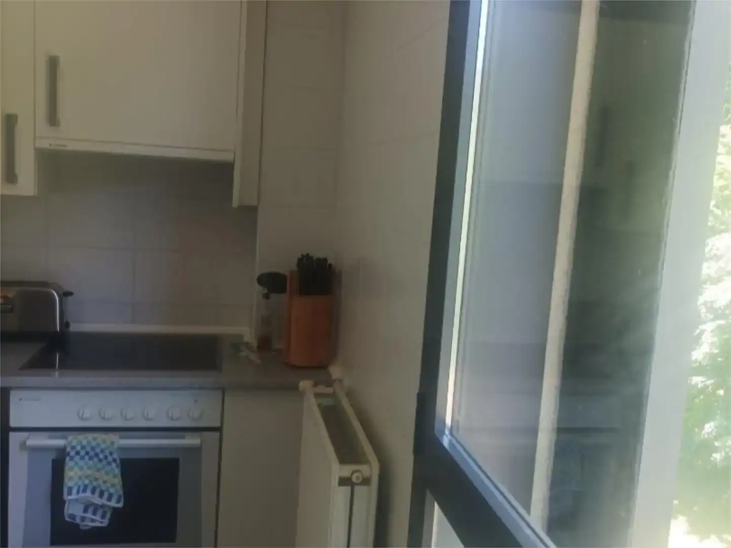 Kitchen of Flat for sale in Areatza  with Parquet flooring, Storage room and Furnished