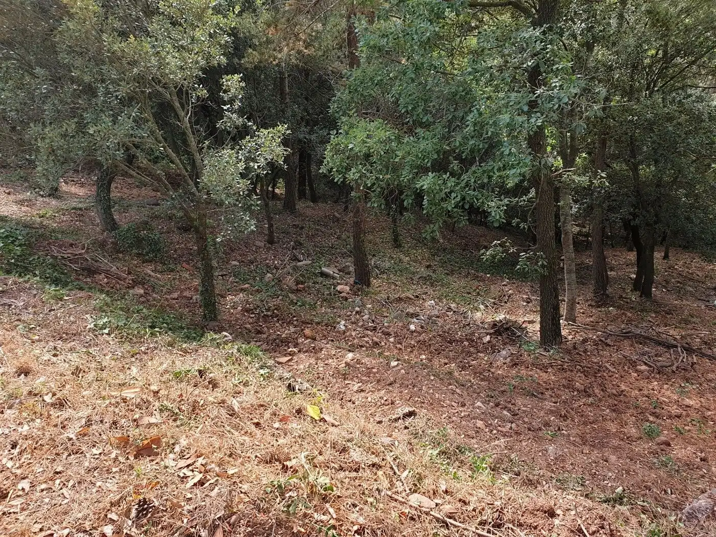 Terrain résidentiel à vendre à Matadepera, imagen 9