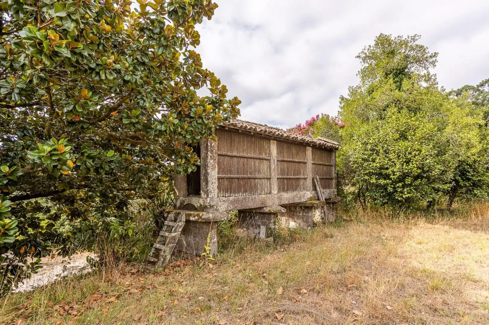 Chalet en venta en Vedra, imagen 50