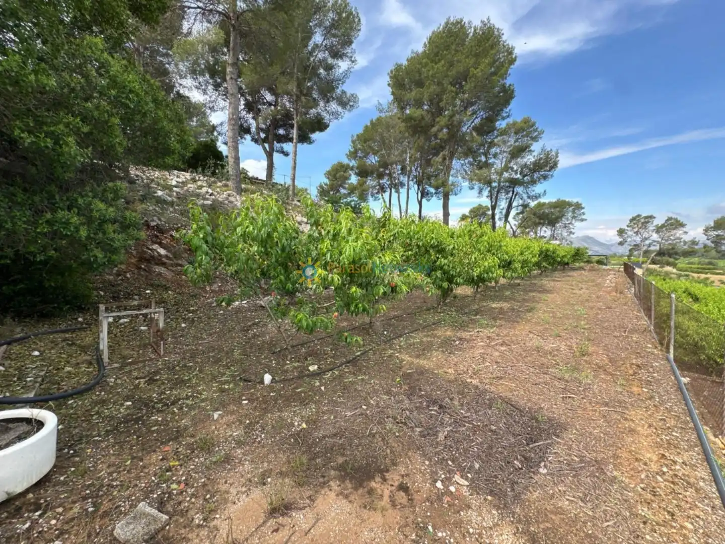 Terreny rústic en venda a La Font d'en Carròs, imagen 10