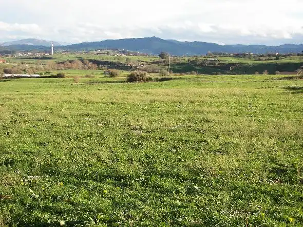 Rural land for sale in Suances, imagen 10