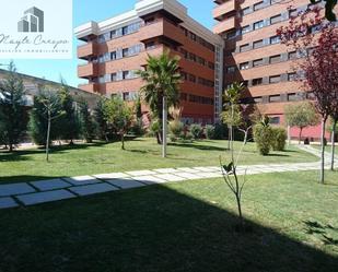 Garden of Flat to rent in  Granada Capital  with Air Conditioner, Heating and Private garden