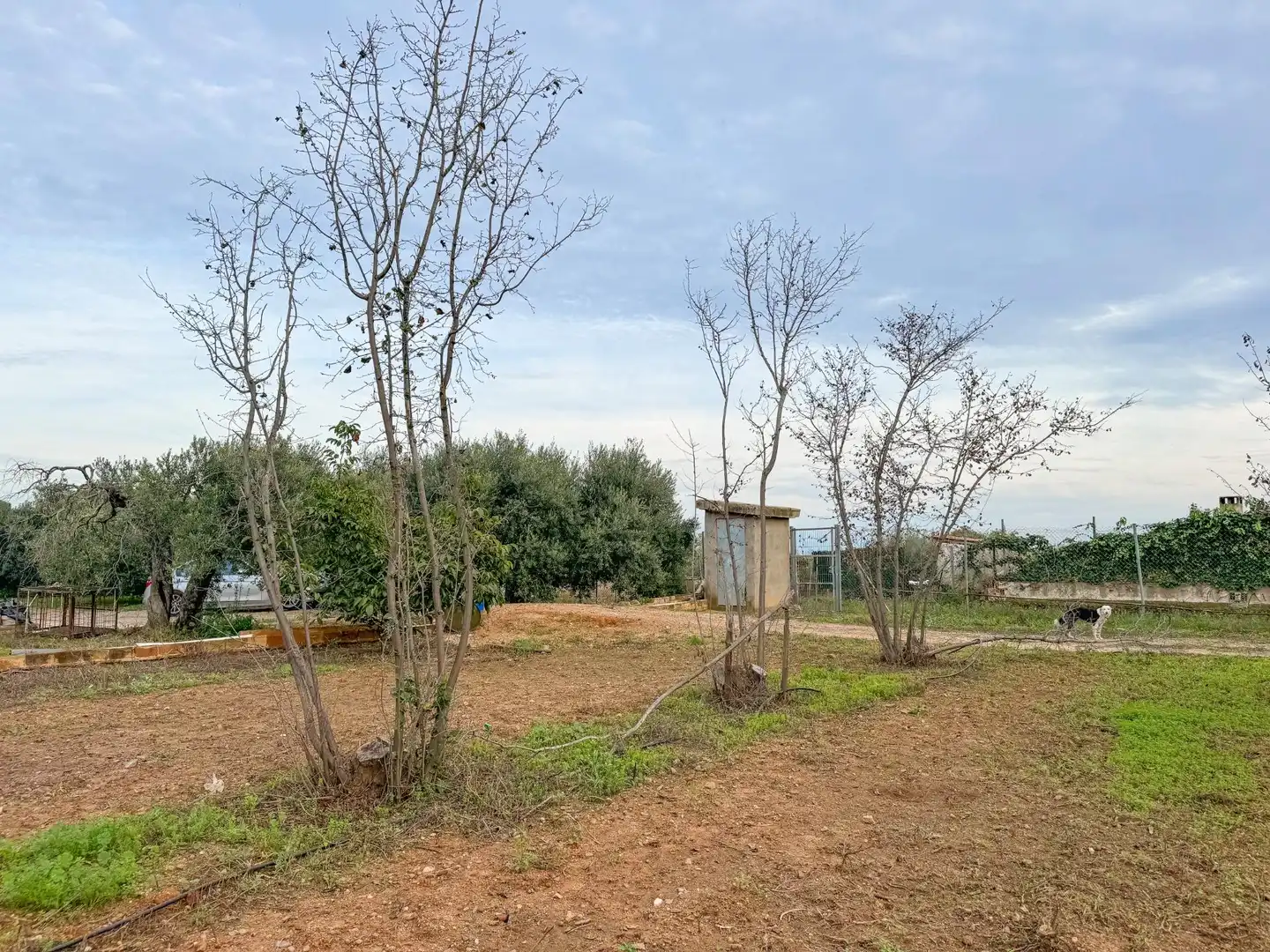 Finca rústica en venda a BURGAR DEL, 40, Riudoms
