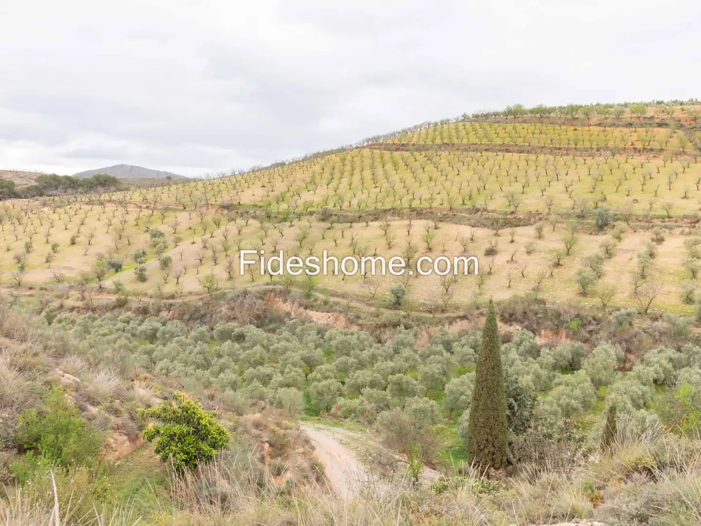 Finca rústica en venda en Villamena amb Jardí privat, Piscina i Moblat