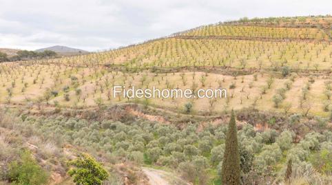 Foto 2 de Finca rústica en venda a Callejon del Diablo, 2, Villamena, Granada