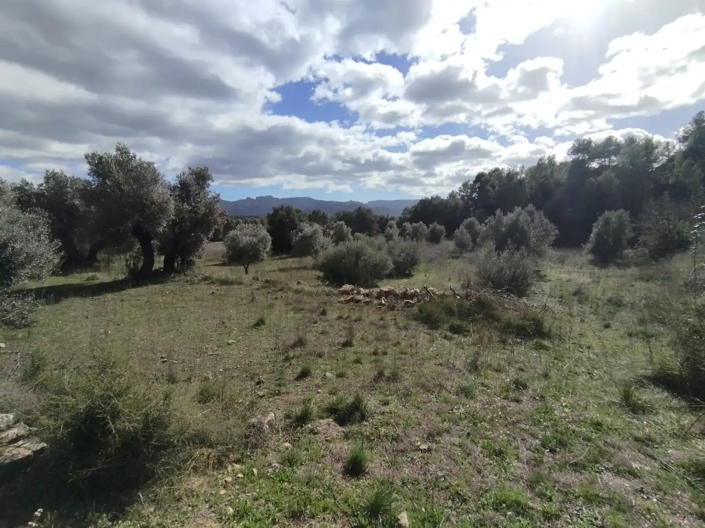 Terreni e lotti in vendita a Lledó, imagen 2