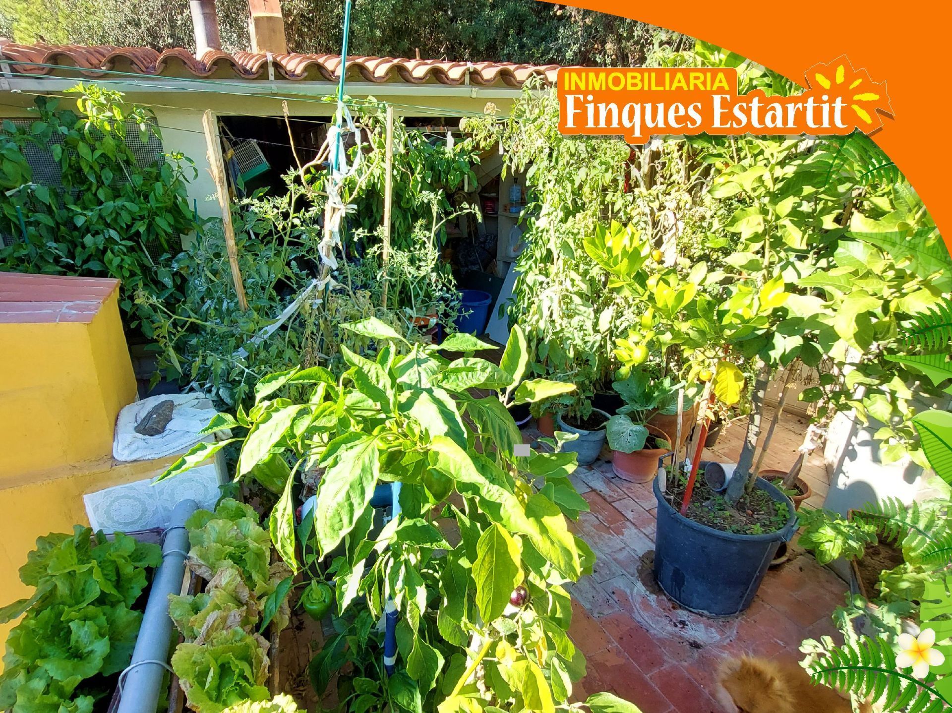 Jardí de Casa o xalet en venda en L'Estartit amb Calefacció