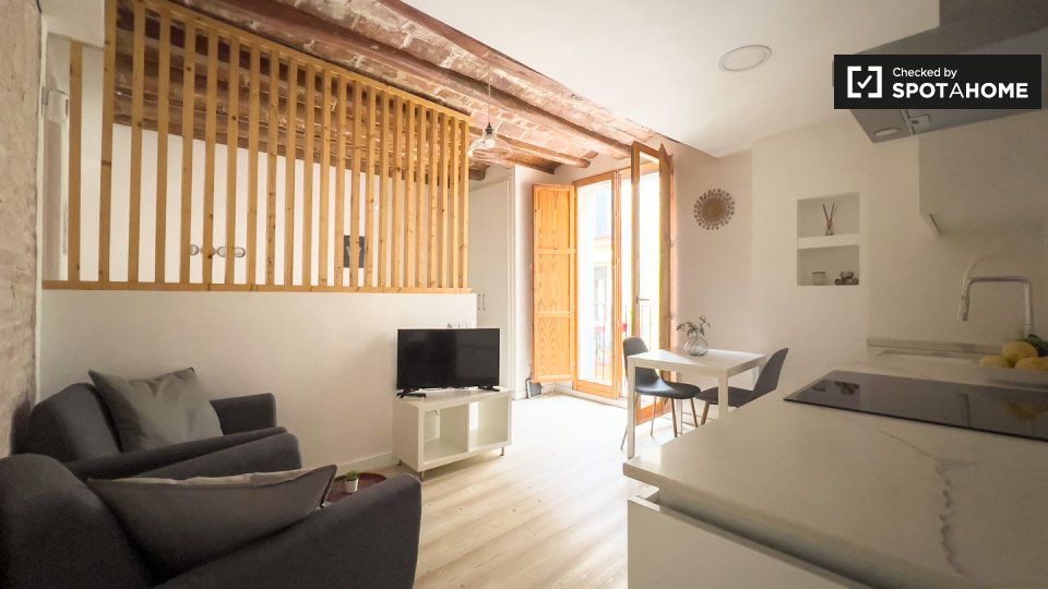 Pis de lloguer a El Raval