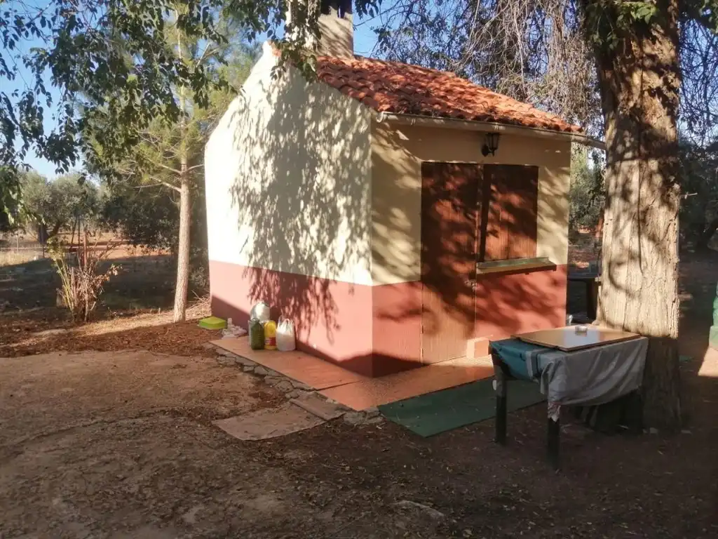Casa rústica amb piscina en venda a Argamasilla de Calatrava, imagen 6