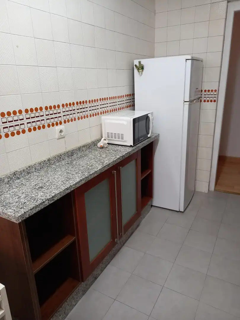 Piso de alquiler en Calle Armengual de la Mota, Perchel Norte