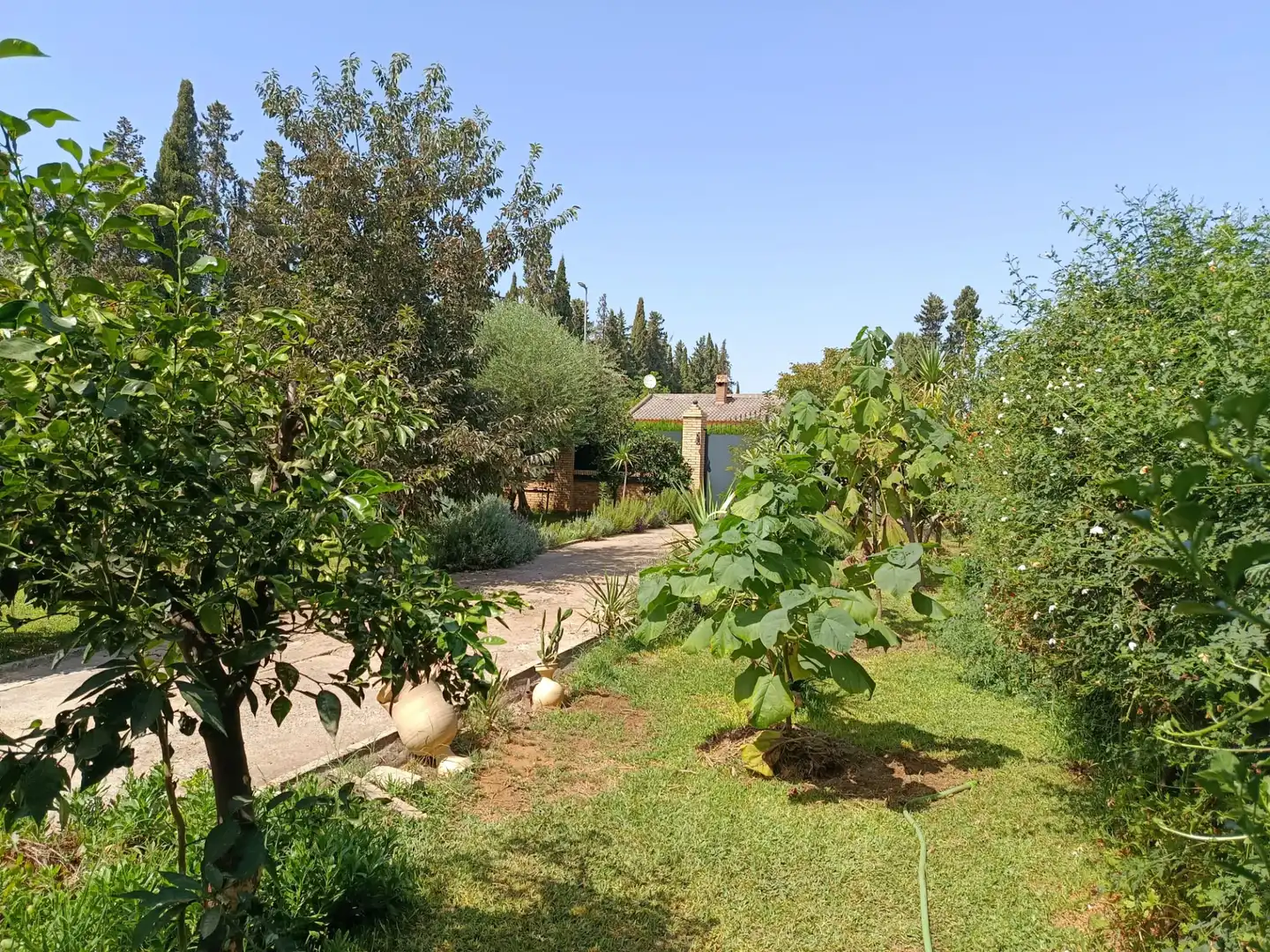 Villa avec piscine à louer à Urbanizacion el Campillo, imagen 67
