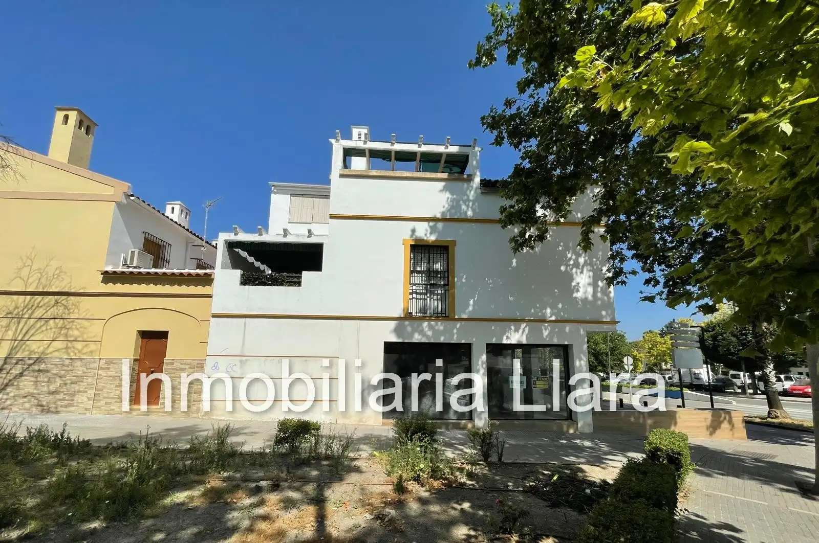 Local comercial en venda a El Valle, imagen 4