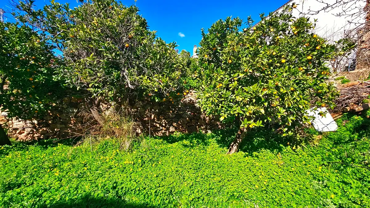 Casa o chalet en venta en Cañaveral de León