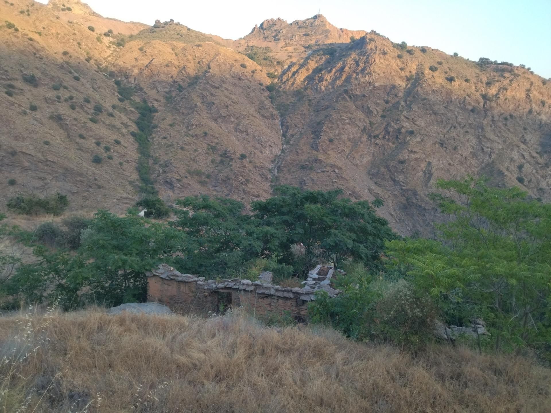 Exterior view of Land for sale in Busquístar