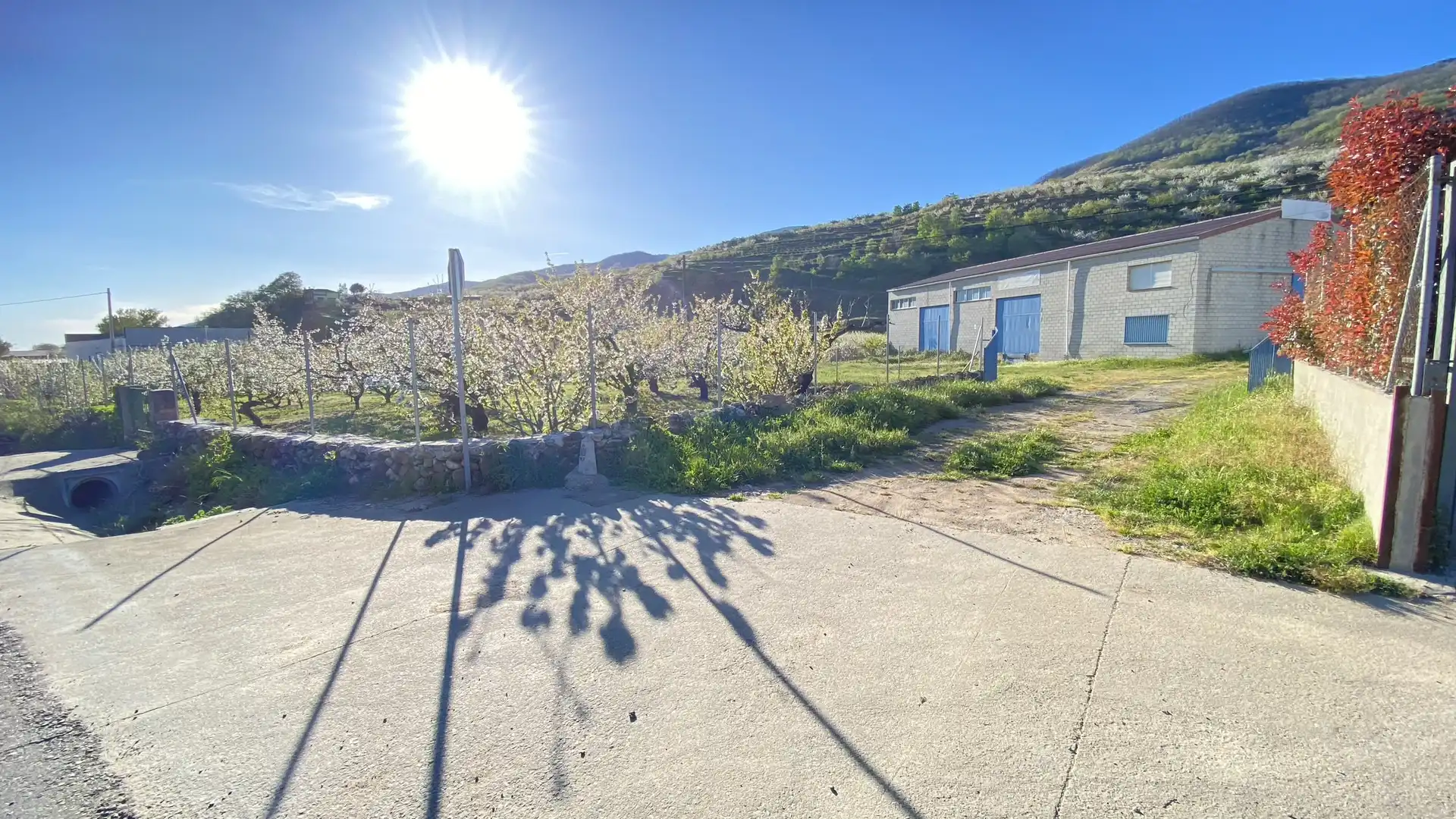 Vista exterior de Nave industrial en venta en Jerte con Alarma