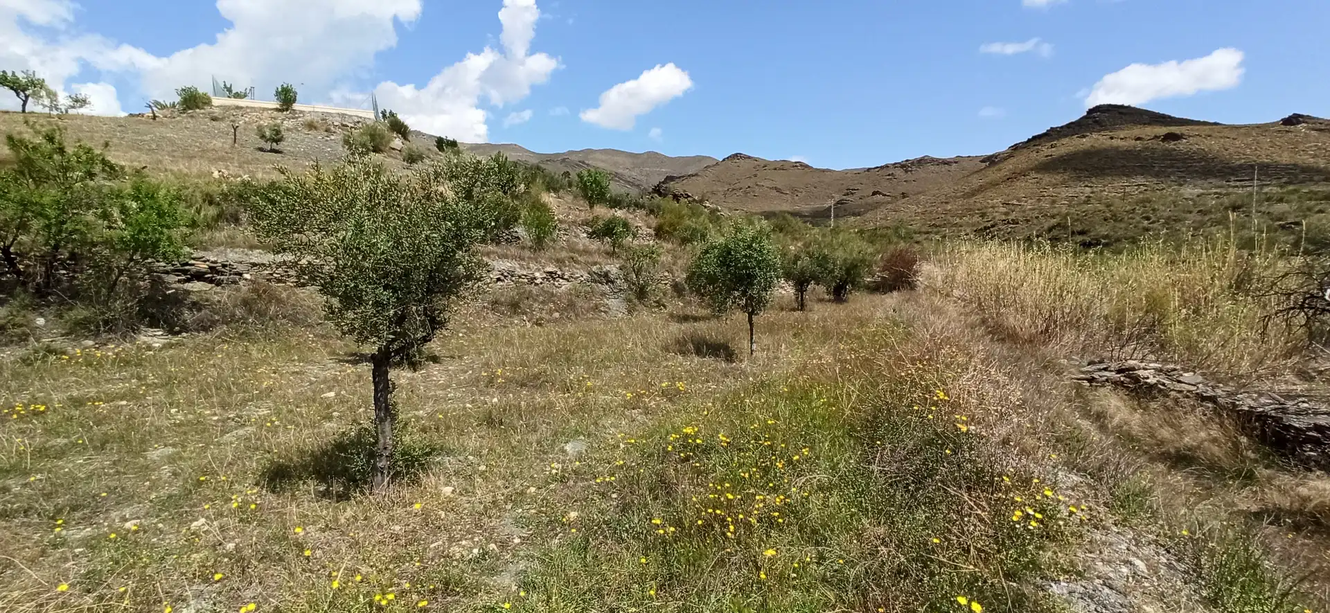 Rustikales Grundstück zum Verkauf in Calle El Almendro 5, imagen 6