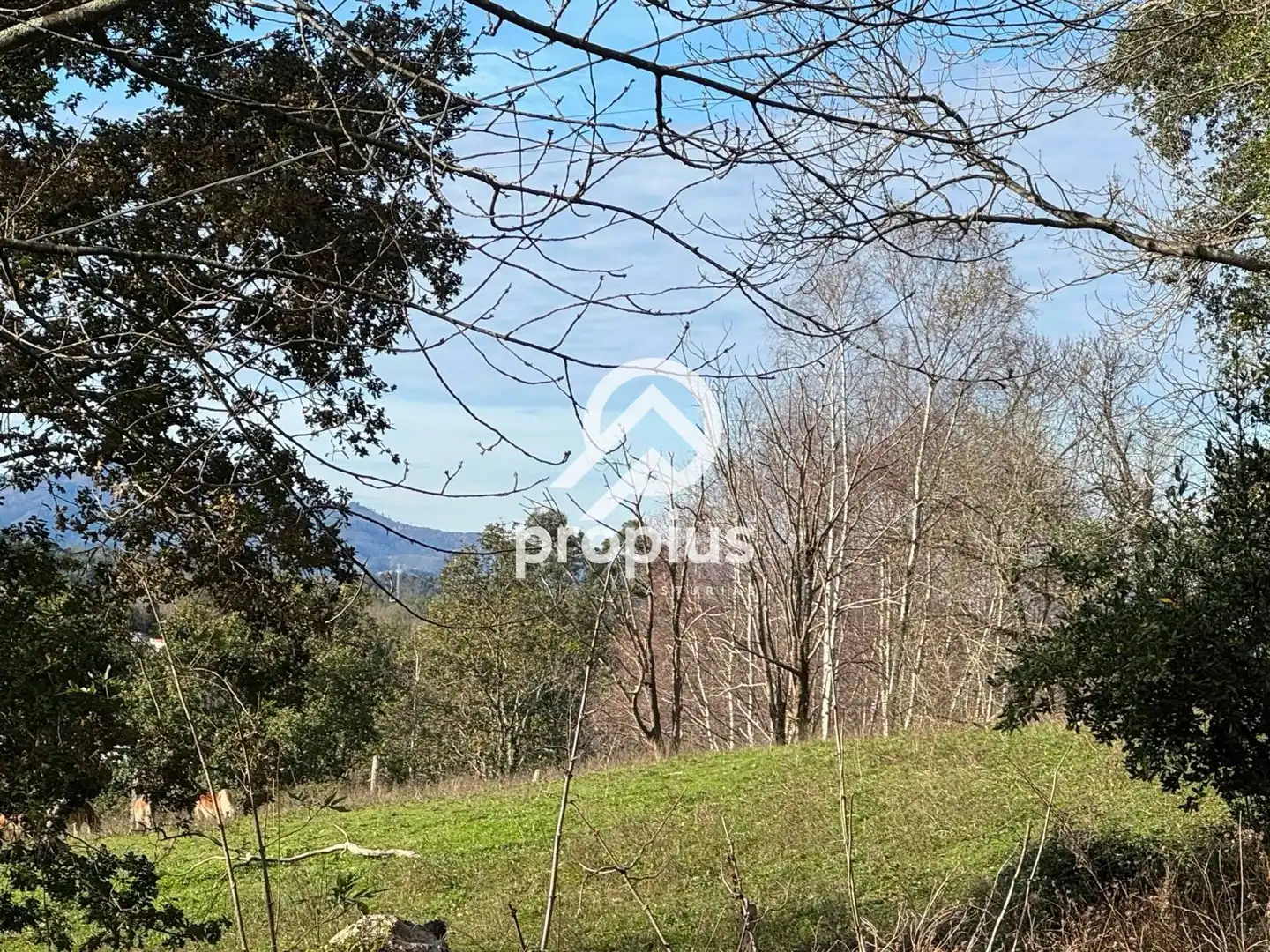 Land for sale in Llanes