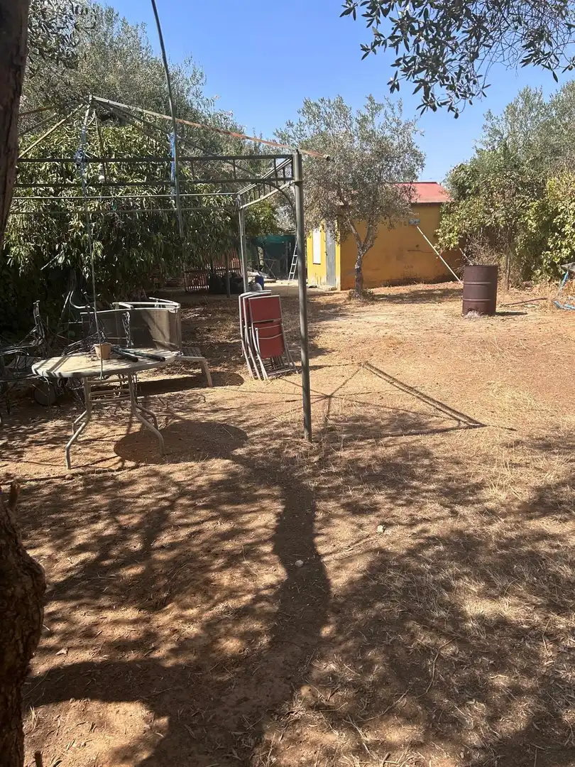 Rural land for sale in Pilas, imagen 20