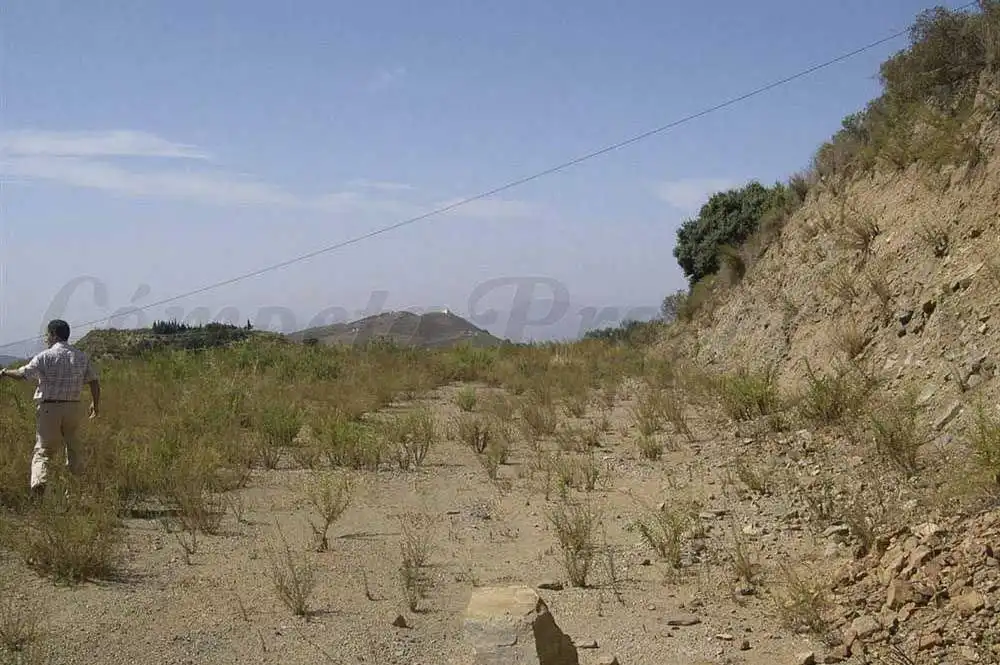 Terreno rústico en venta en Sedella