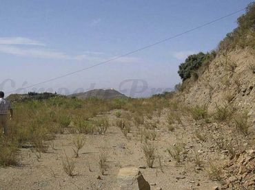 Terreno rústico en venta en Sedella