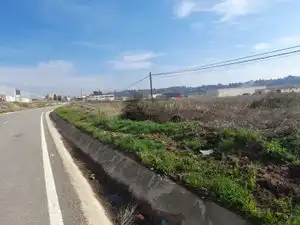 Rural land for sale in Vallmoll, imagen 13