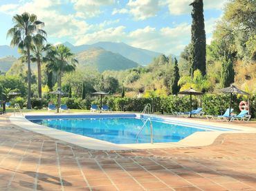 Apartment with pool for sale in Camino de la Equitación