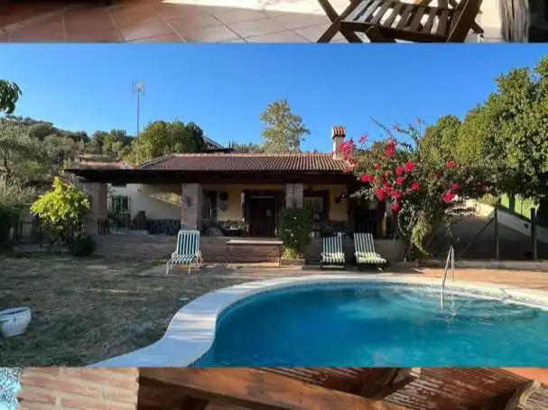Vista exterior de Finca rústica de alquiler en Tolox, Málaga