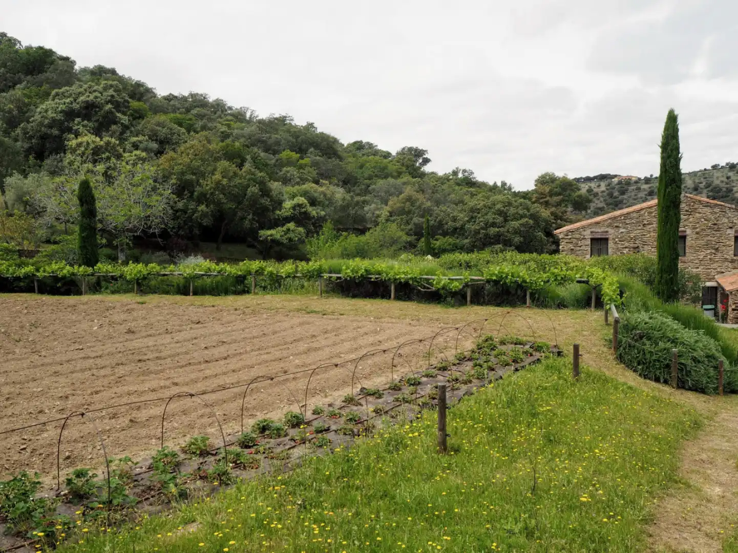 Houses for sale in Madroñera - LAS ANIMAS, Madroñera