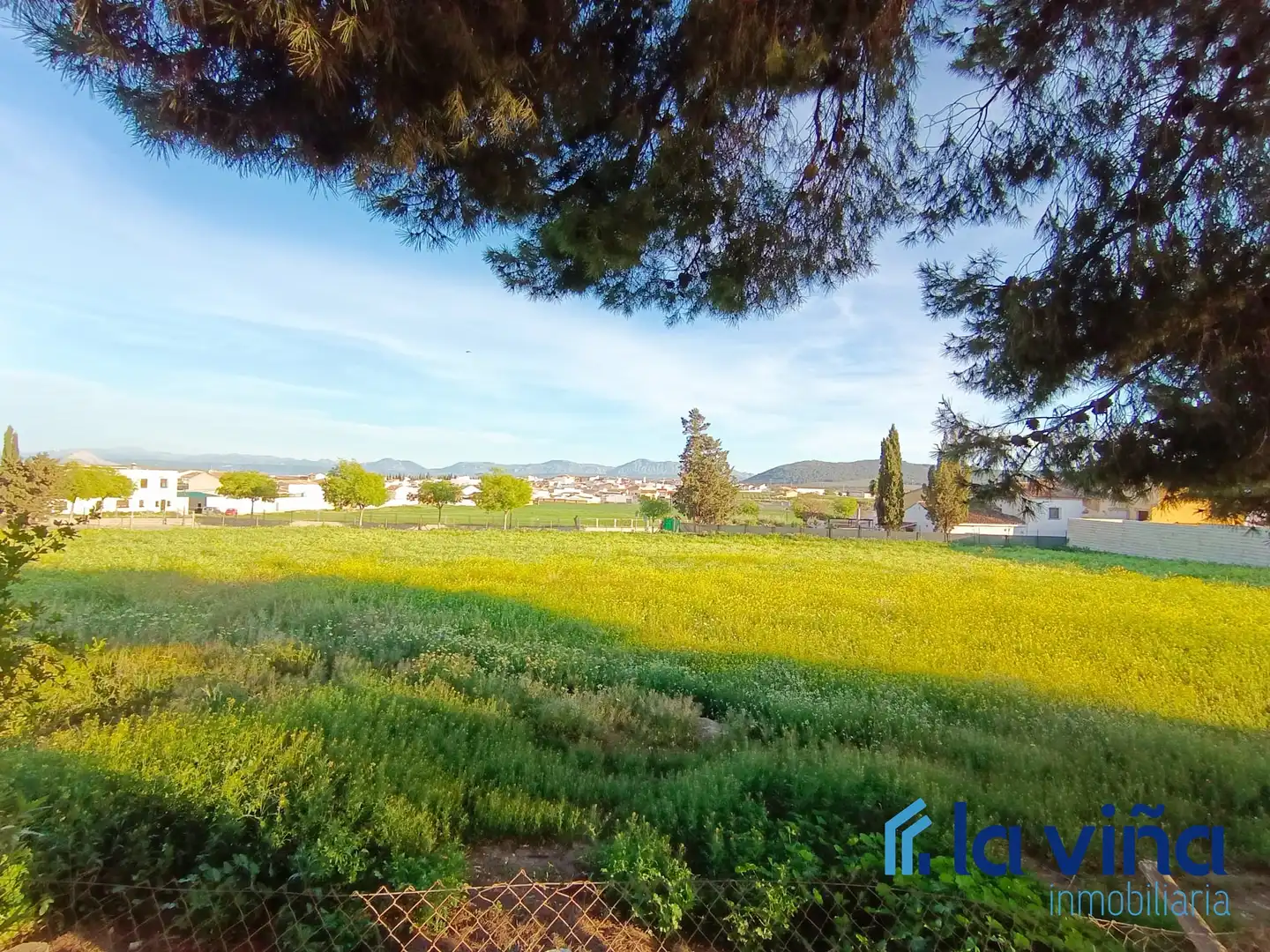 Rural land for sale in Mollina, imagen 2