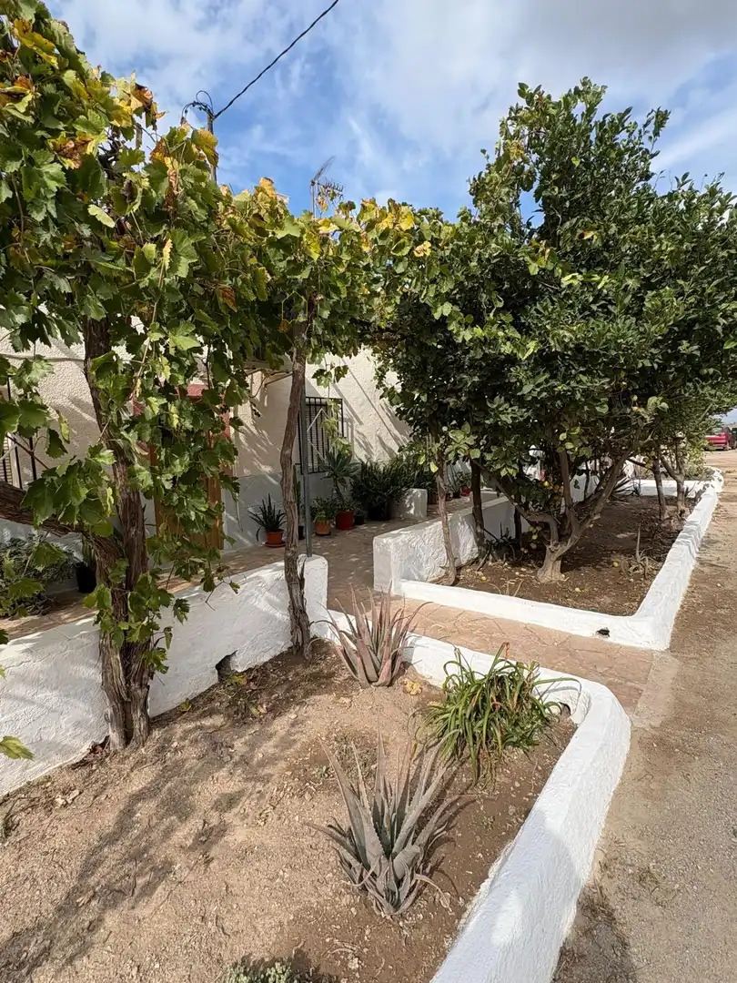 House with garden for sale in Pedanías Sur, imagen 7