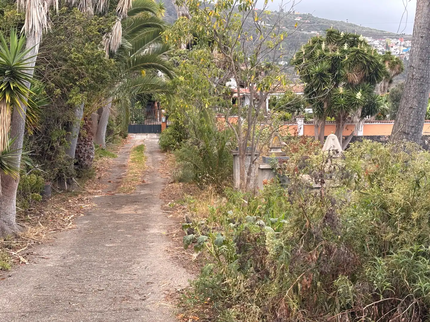 Casa o xalet en venda en Icod de los Vinos amb Jardí privat, Terrassa i Traster