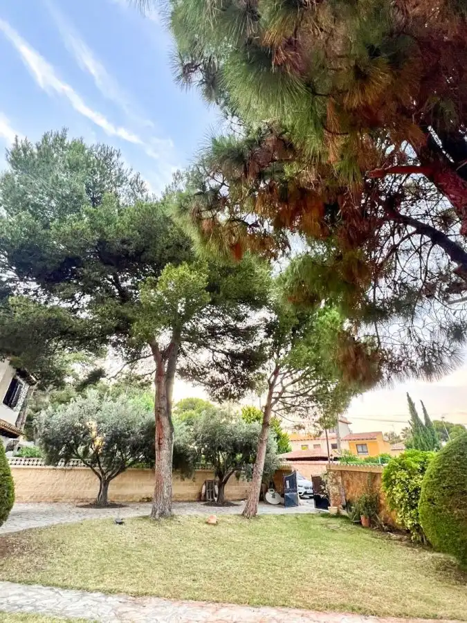Villa mit Pool zum Verkauf in Calle C. Carabela 16, imagen 8