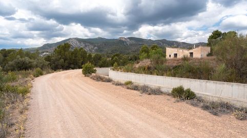 Finca rústica al lado del canal con una construcción de 40 m2, immagine 3
