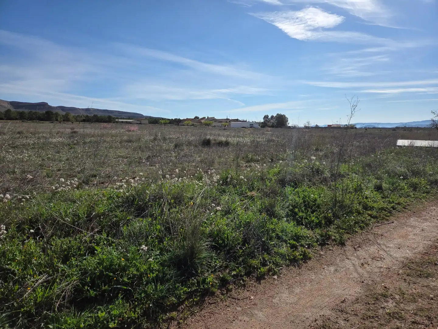Residential land for sale in Yecla, imagen 2
