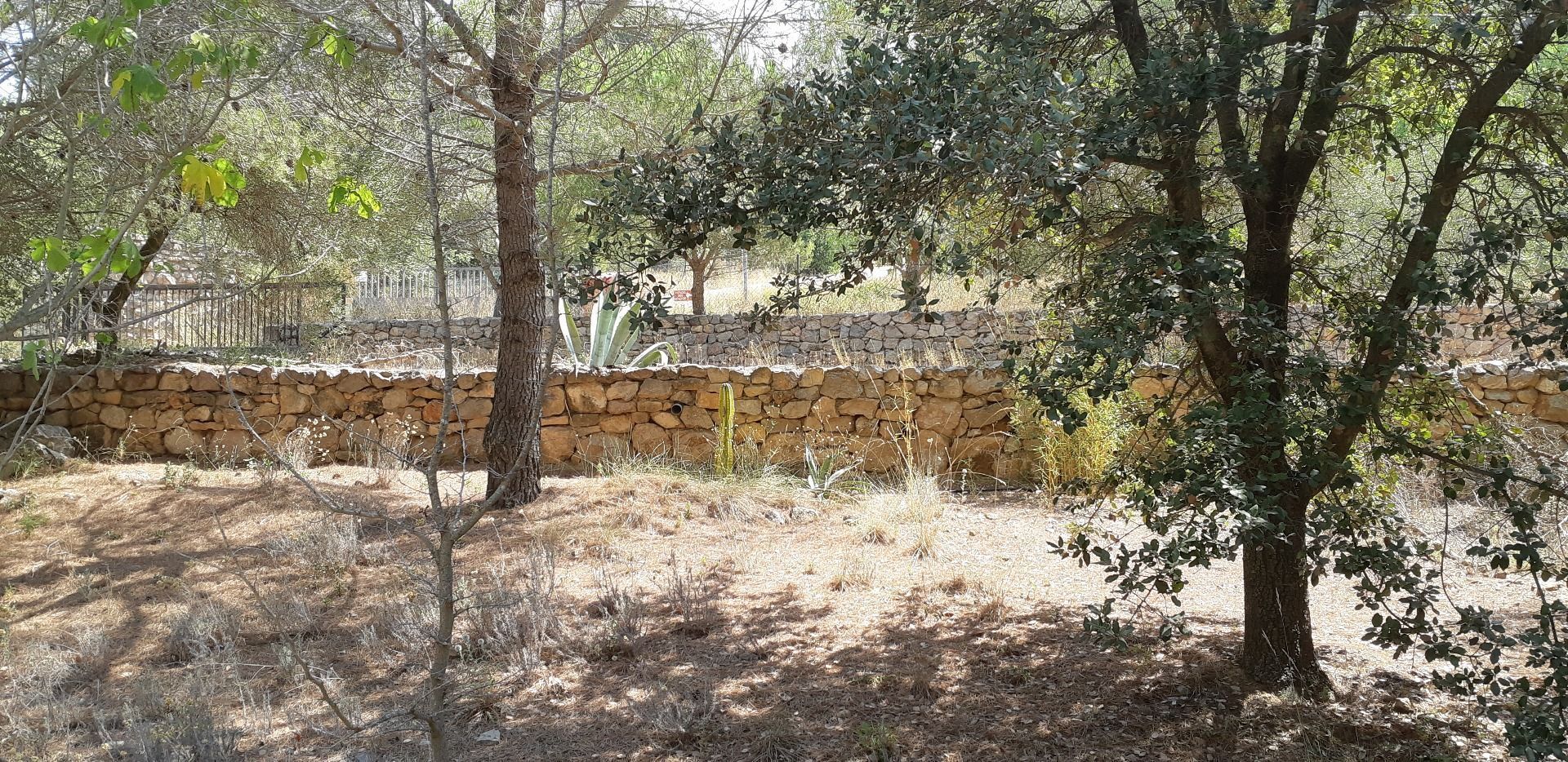 Grundstücke zum verkauf in Avinguda de Joaquim Mir, L'Aleixar