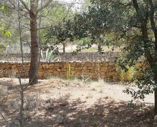 Land for sale in Avinguda de Joaquim Mir, L'Aleixar