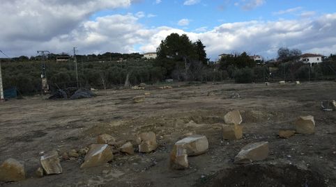 Parcela  zona huertañalda.