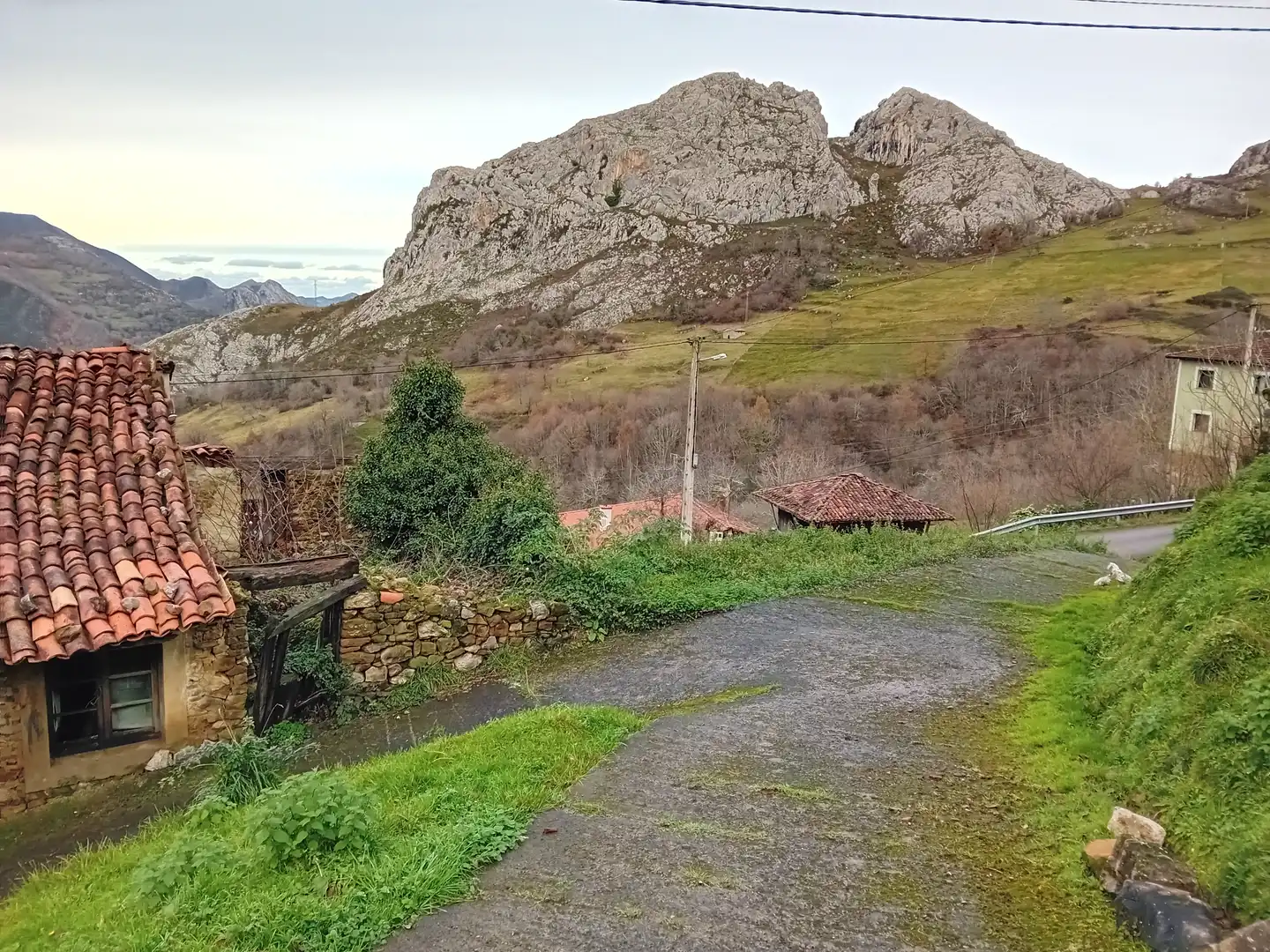 Vista exterior de Finca rústica en venta en Amieva