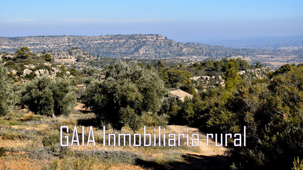 Finca rústica en venda en Maella